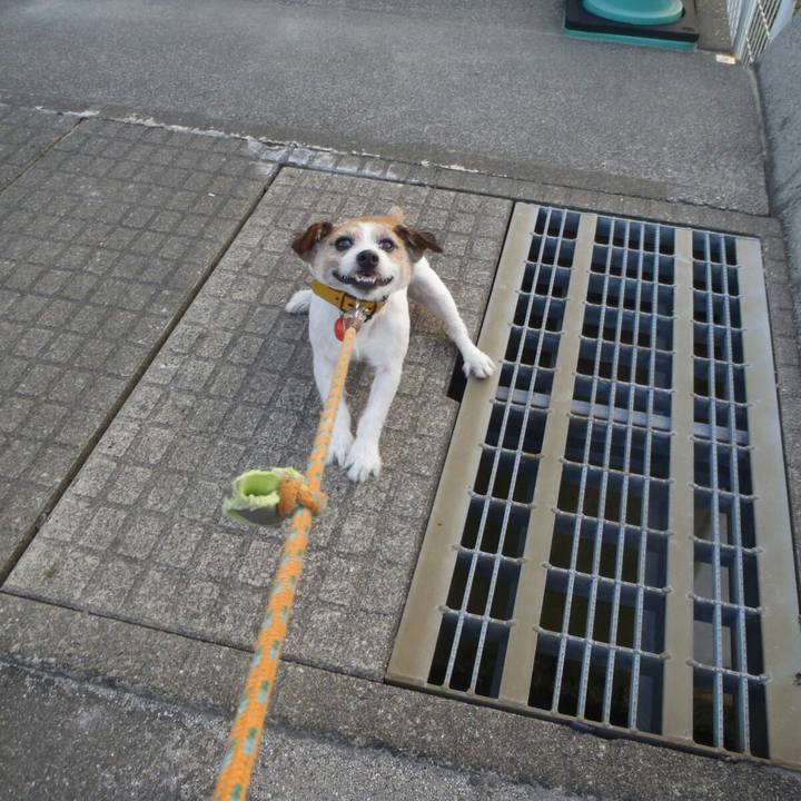 8ca151f0 9803 4f6c b1b3 e2cdb453745d