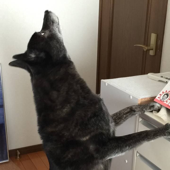 8ca15506 00b5 4656 8295 9d63a5df3c05