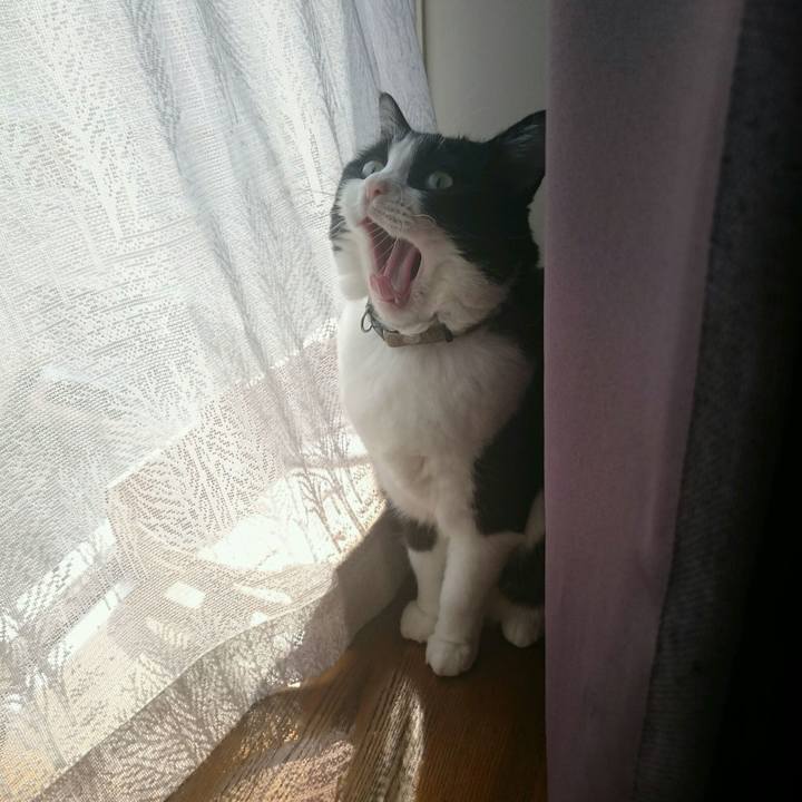 8ca15d0f 1aac 40a0 b220 1229cf3c51d9