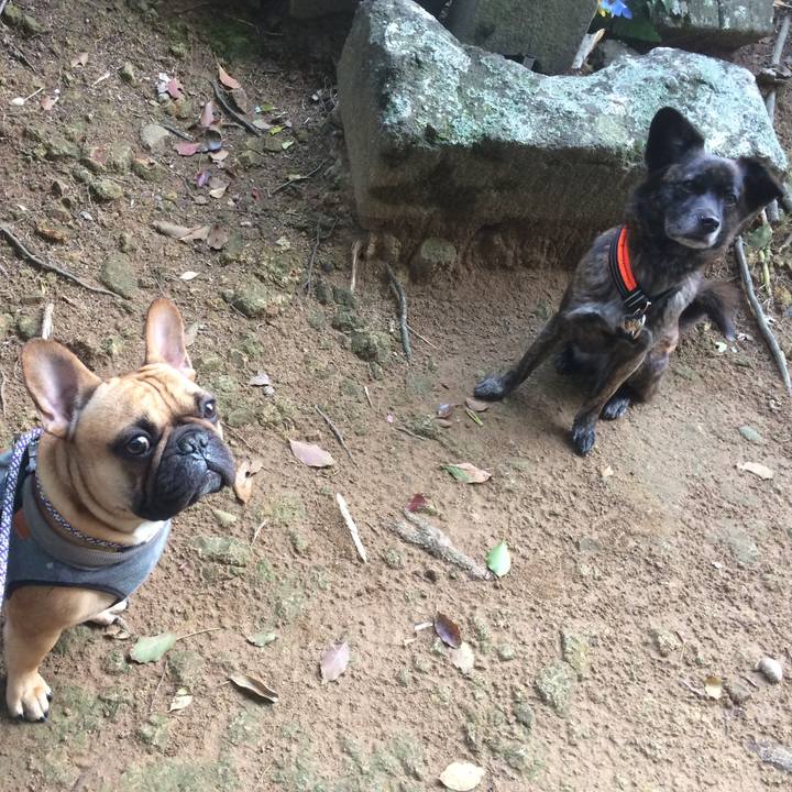 8ca1ca74 5b30 434a 8e82 4d62e8254a37