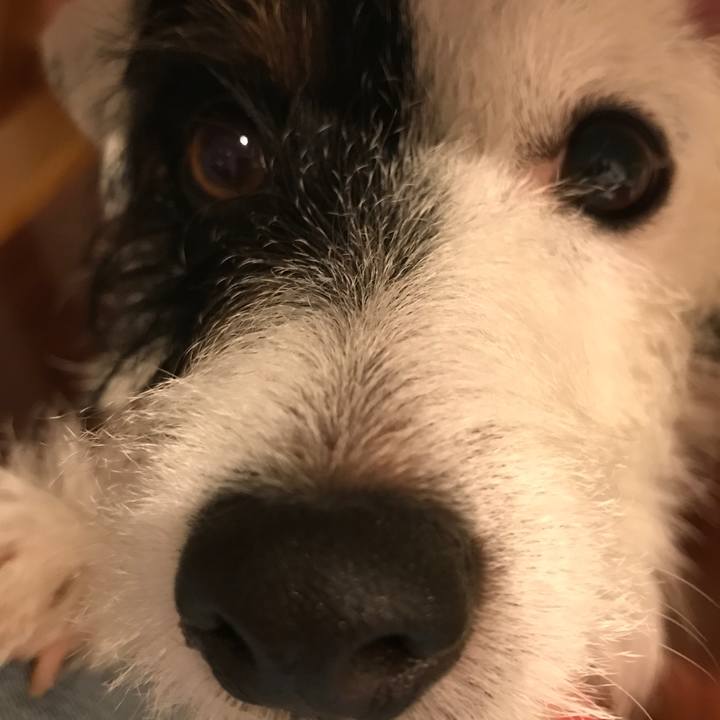 8ca225fd afa7 4dfb a68f dab66e47a208