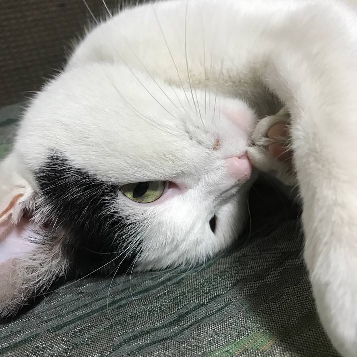 8ca2c65e e084 4891 b11a a0deb3cf5d1b