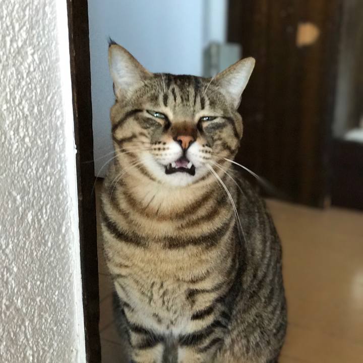 8ca318e0 191e 4133 90b4 d2fb98471651