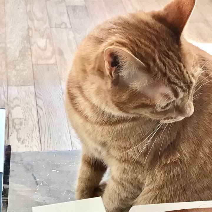 8ca4597e 5b29 4b9a a1ee f2fc21fcc92b