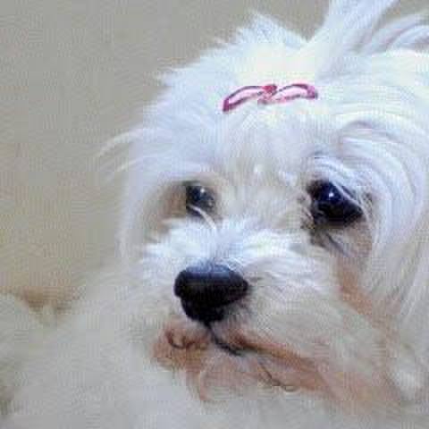 8ca5a5ef a4dc 4bc5 9c27 2cddaa238fe3