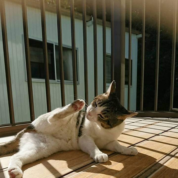 8ca5e79f dc62 4001 adaf 607c3f9dc617