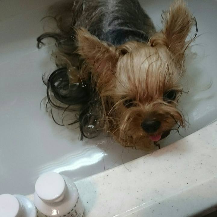 8ca5f5fd 8e56 4ca4 92c6 13958c8faaa6