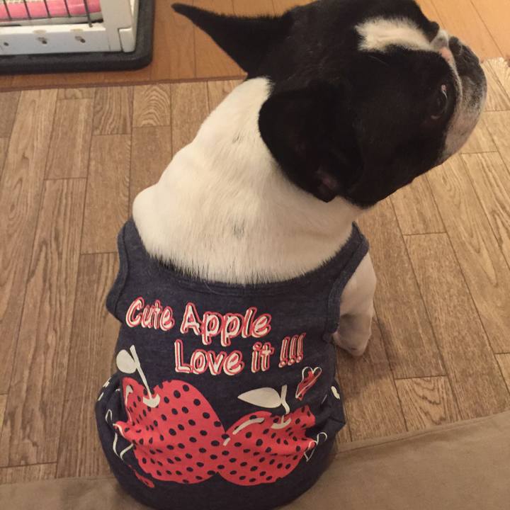 8ca6276e 2772 4db3 ac3b 370b400de8bd