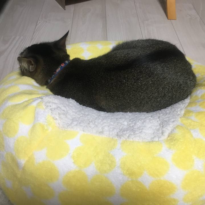 8ca72543 2415 4f15 8e82 3882966749c9