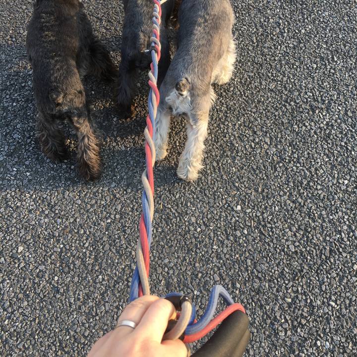 8ca76ad1 be7a 4642 a61e a98c684d4f5b