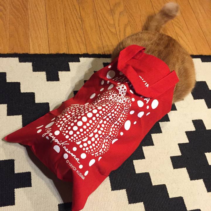 8ca76dad ac6c 4ff6 8a40 d8945649a6ec