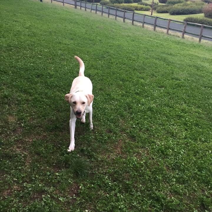 8ca7bedf 1946 42b0 8b50 3c042f038c10