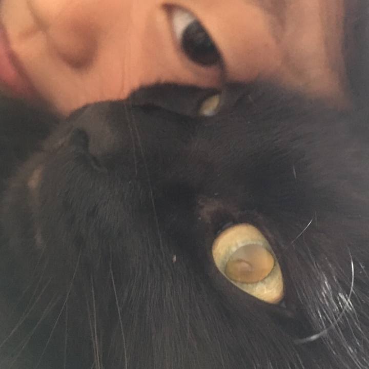 8ca7fecb 3298 441b 9119 5ca4174743a4