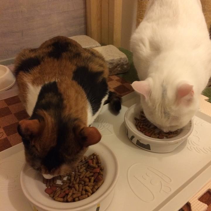 8ca90a62 35dc 4fec a5da 192b6697b672