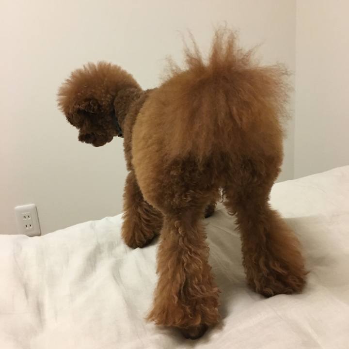 8ca91a55 43b2 4783 bc5c c78cb4294a19