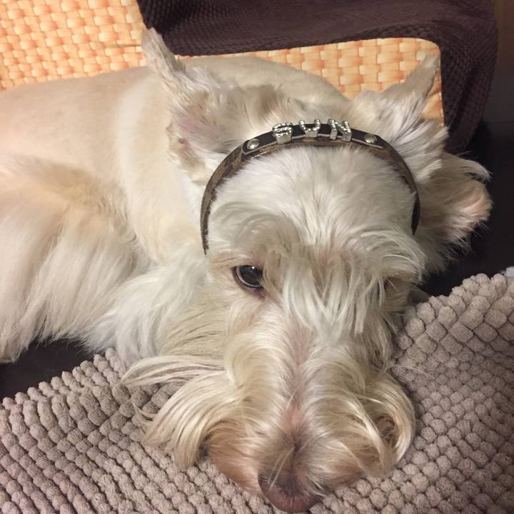 8ca95376 d332 44cc b32a fb12ae2c725d