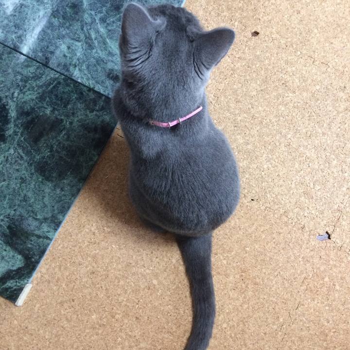 8ca9c75b 903b 4029 a365 39572bd731f8