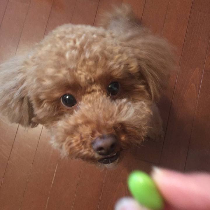 8cabb897 f4b9 4c68 8f2a d5e8432437cb