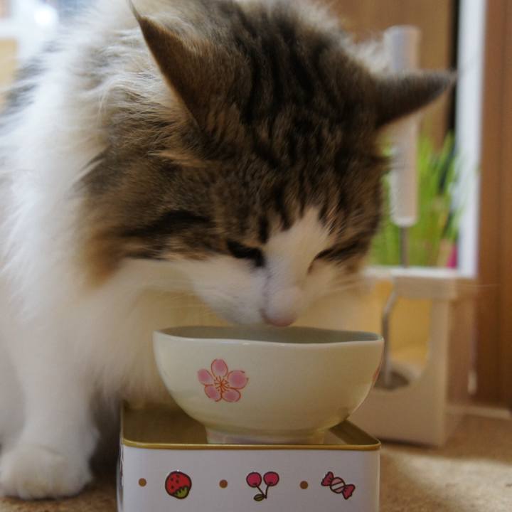 8cac2bb9 1e7f 40ea ad7d 90bacc104d86