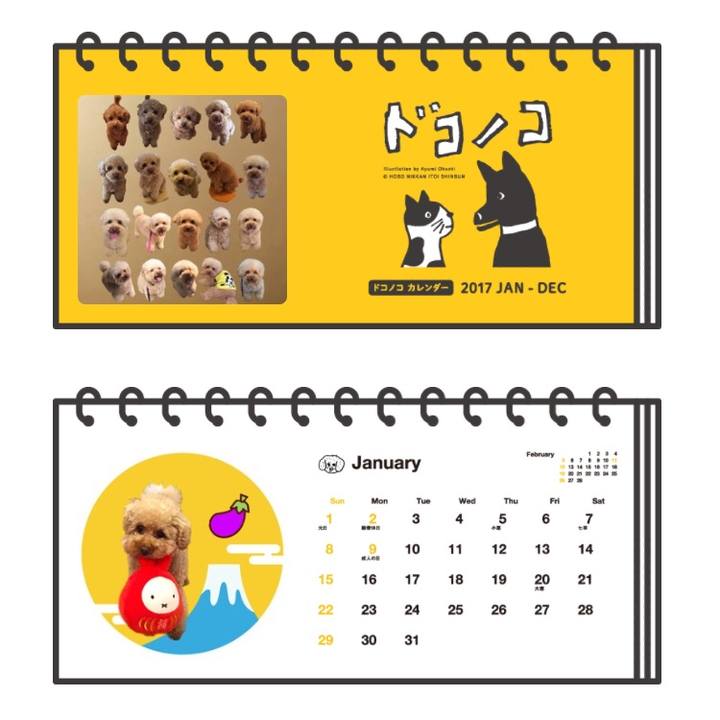 8cacf5dc 1b27 42bd a341 c513915833a8