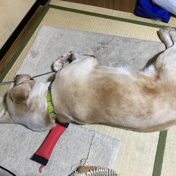 8cad18e8 b656 49a3 af4b 536cc567bfeb