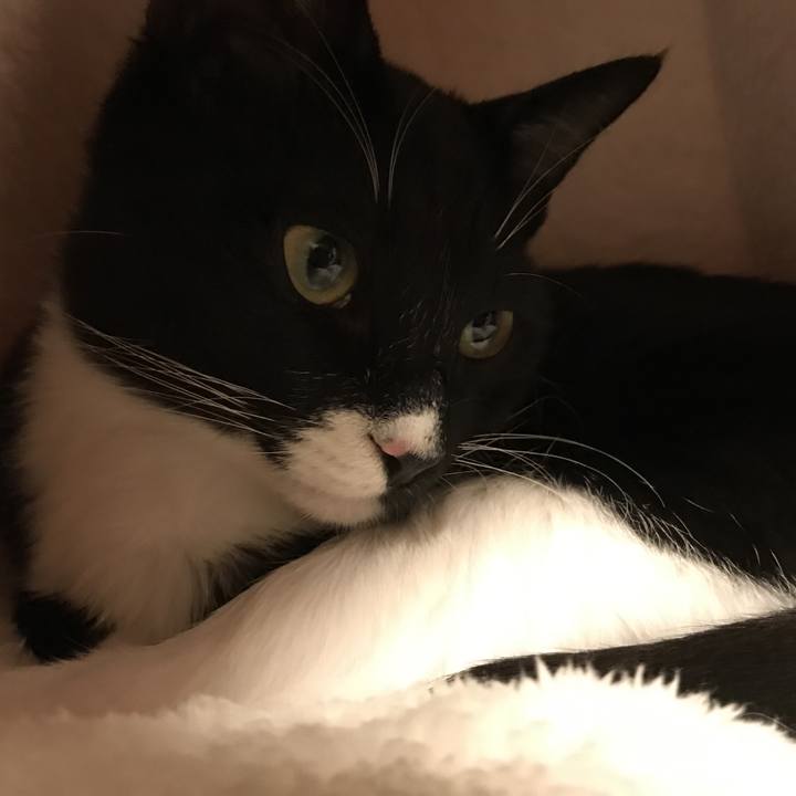 8cad2682 bbe5 4118 ab16 358a26bb9477