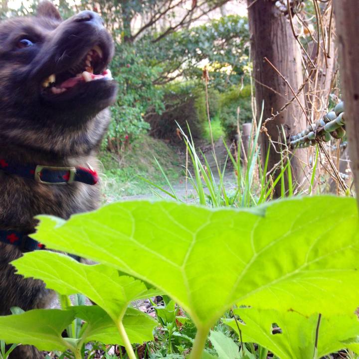 8cad7ae5 88c1 41b5 ae9a d647b5de9aed