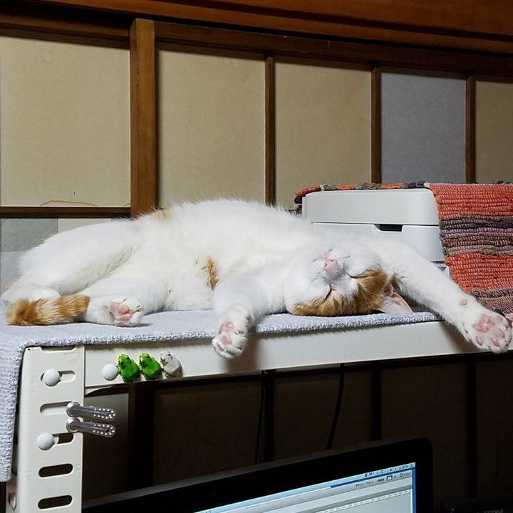 8cada31b a173 431d ab05 221dd5a9c83b