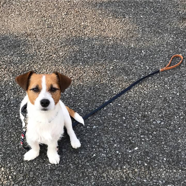 8caea456 485c 4771 819d dbdc5eb8f29d