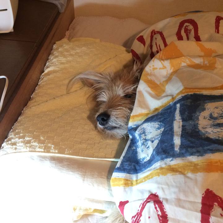 8cb01229 9dd0 44f7 a1af 301b31dca7e0