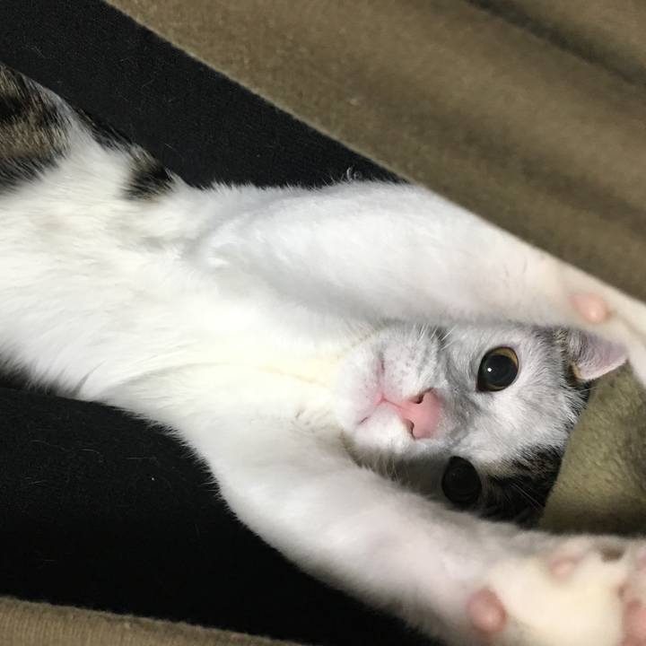 8cb05850 2583 4a1d a217 46e4c1cc6e05