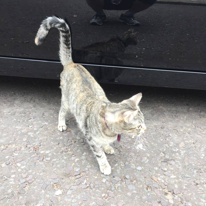 8cb0b713 ab54 41b6 9894 d413f11c1605