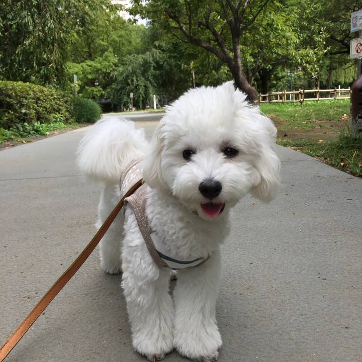 8cb102c1 0d89 430f b3fc bc94d0da18c8