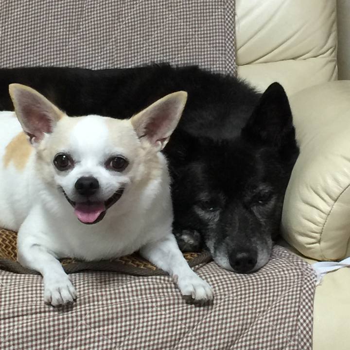 8cb1a948 593e 4a14 a2c4 7bb852b54e55