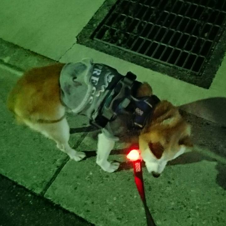 8cb1bf83 848a 40c9 88b5 8a6b6ce8dd3f