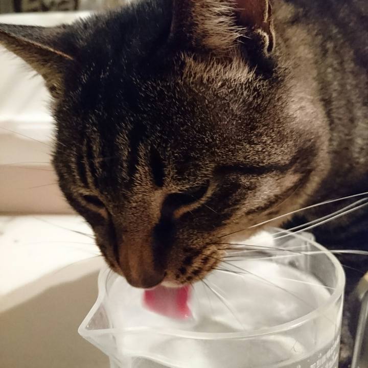 8cb1df6c 1455 442a 9b0c 442092a88e39