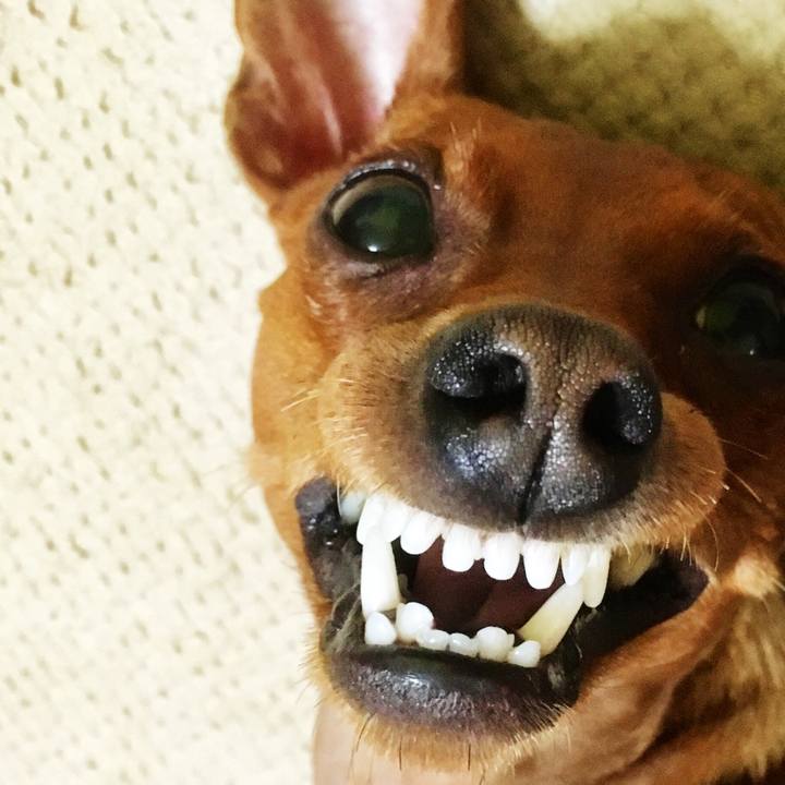 8cb21075 4eb4 48aa 81d8 5e458e1af9fc