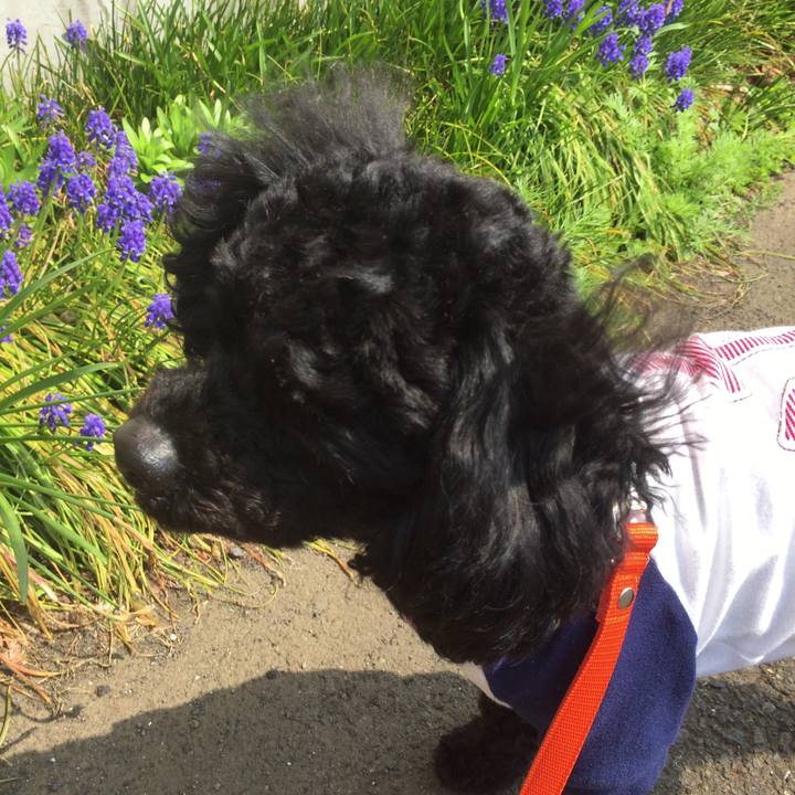 8cb28593 7b61 44f0 934a 01b48f98da20