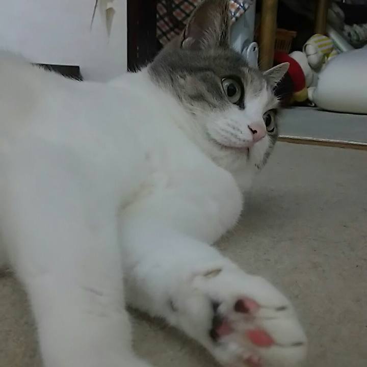 8cb2d28d 360e 4ee4 9f80 7a198d49dfea