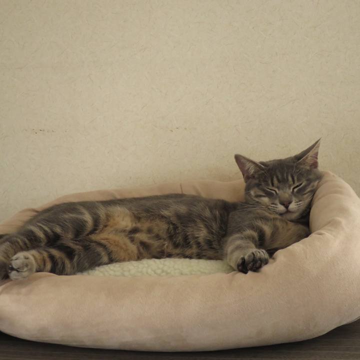 8cb2eecb 1fd0 40de b5c4 b89566c597a3