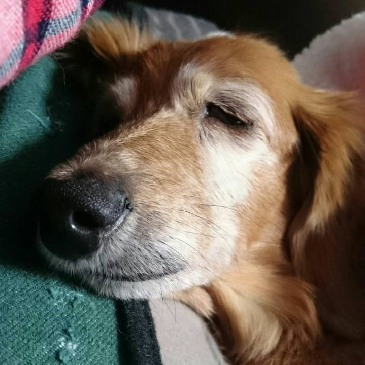 8cb310ac 08c4 4b5e a61b 72e4b7e2af9e