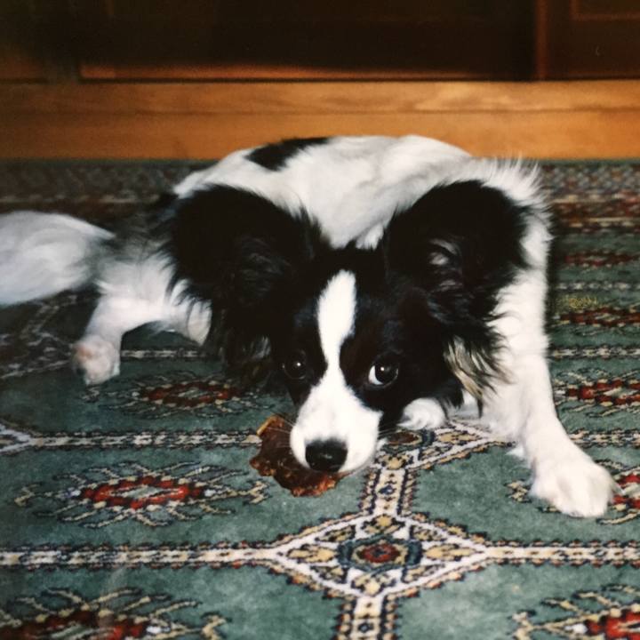 8cb3fef1 b6b4 4991 97a2 d3cd72fa5883