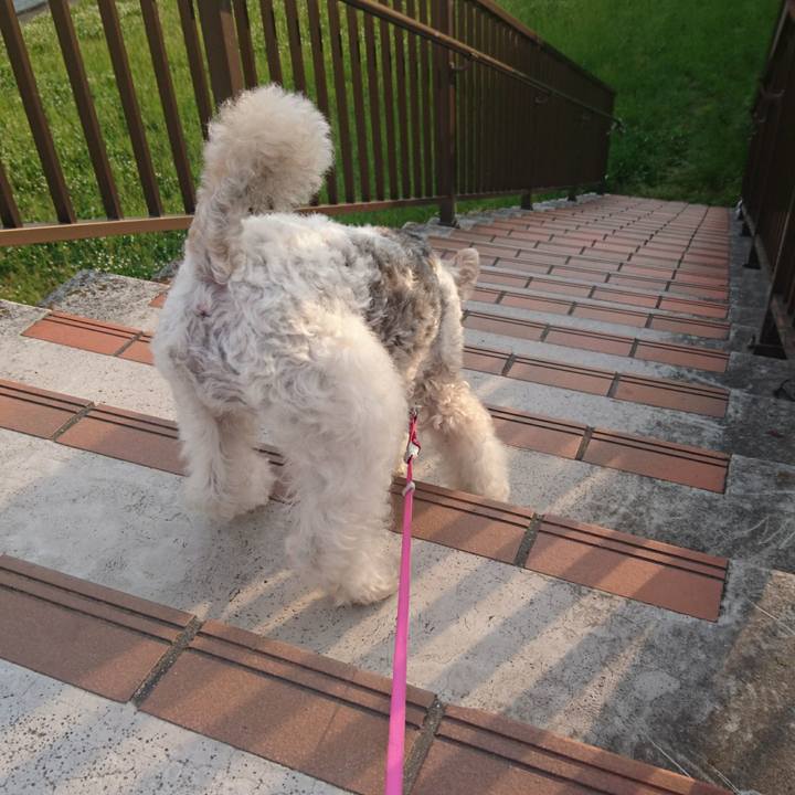 8cb46555 93cf 47da aa4e 1ad5c609b18d