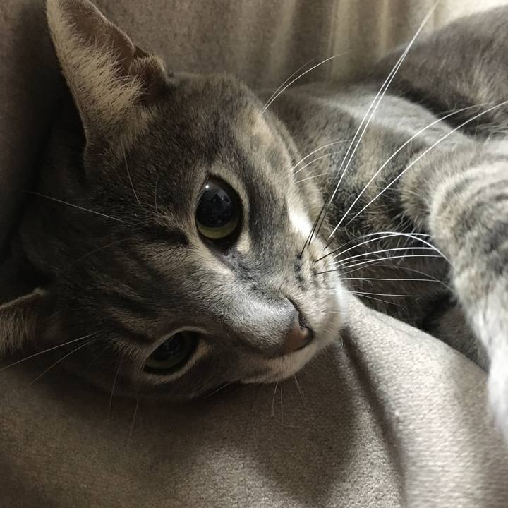 8cb47d5d 96d4 44ef ae26 405e6033c645