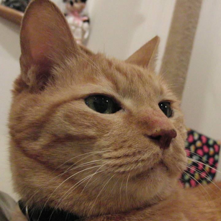 8cb53b8a 928d 4549 adbf daebd33e707f