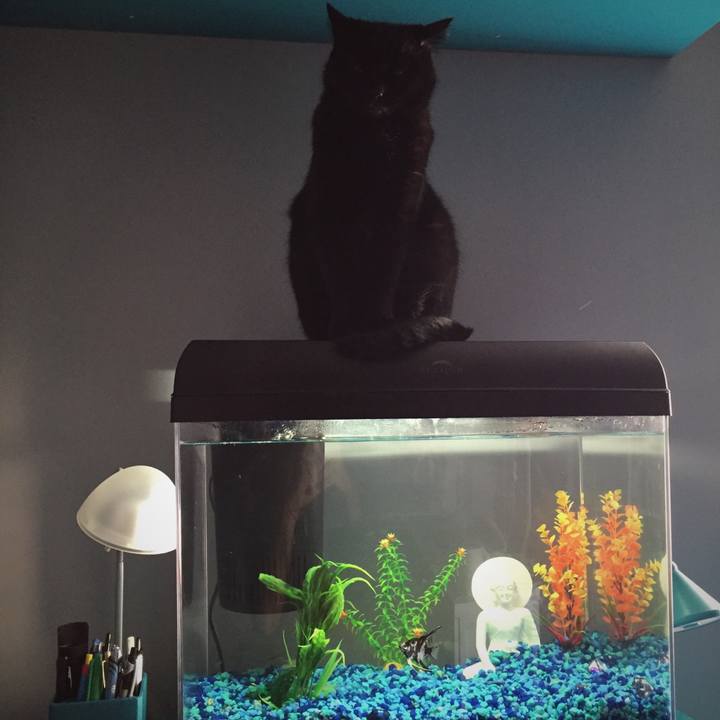 8cb58bb2 7754 4fd7 a6a9 38adf6aa6617