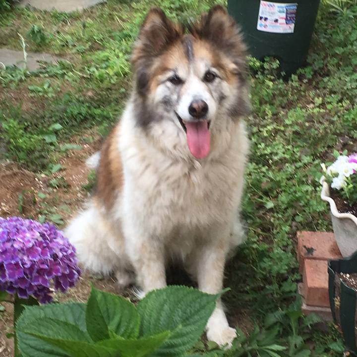 8cb6adf0 002a 4acb b966 9cd645d3fcb3