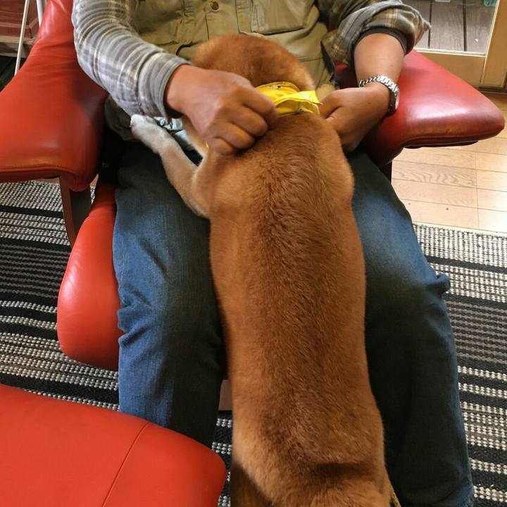 8cb6f8ed 7742 4dea 8fd7 a0a8b8ea42a7