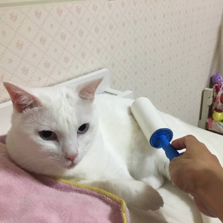 8cb70479 9119 4f59 9f44 66dccbbf4567