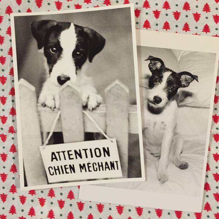 8cb87f35 be69 42af 85e3 cbac87d003cd